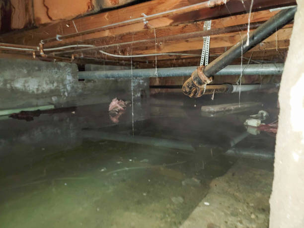  Springfield, MI Water damage restoration Pros