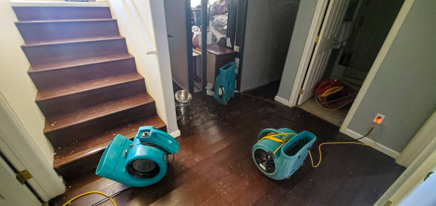 Best 24/7 water damage repair  in Springfield, MI