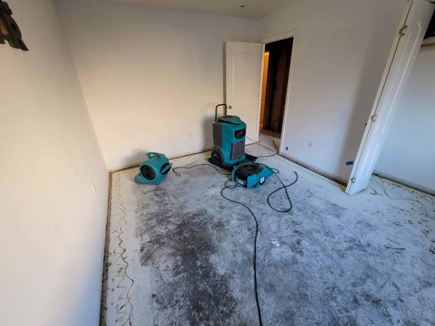 Best Carpet water damage restoration  in Springfield, MI