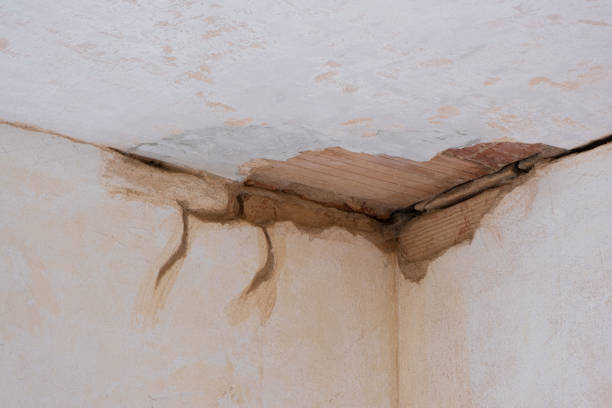 Best Flood damage cleanup  in Springfield, MI
