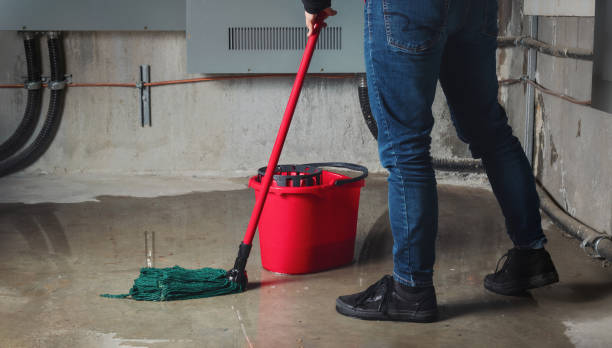 Best Water damage contractors near me  in Springfield, MI