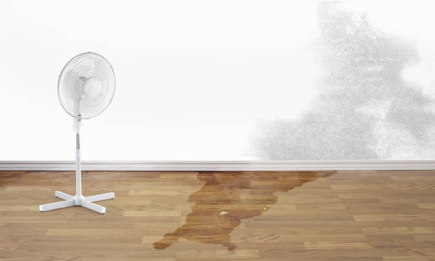 24/7 water damage repair in Springfield, MI