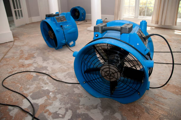 Best Commercial water damage restoration  in Springfield, MI