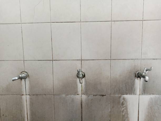  Springfield, MI Water damage restoration Pros
