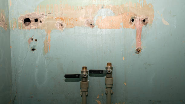 Best 24-hour water damage restoration  in Springfield, MI