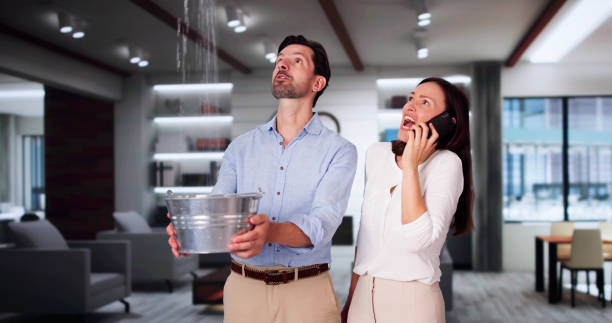 Best Sewage cleanup and water damage restoration  in Springfield, MI