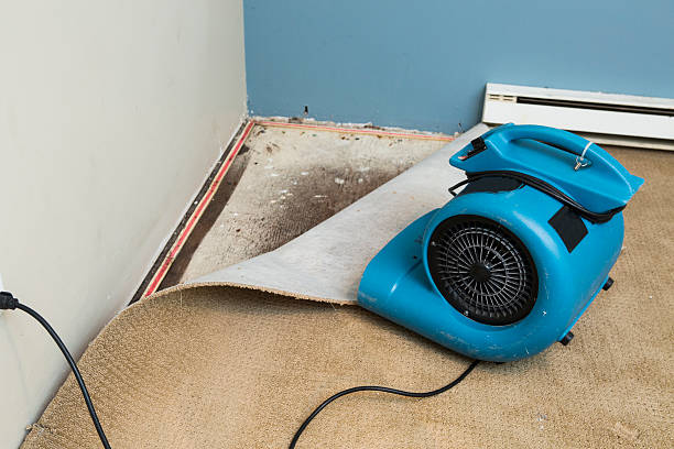 Best Emergency water damage restoration  in Springfield, MI