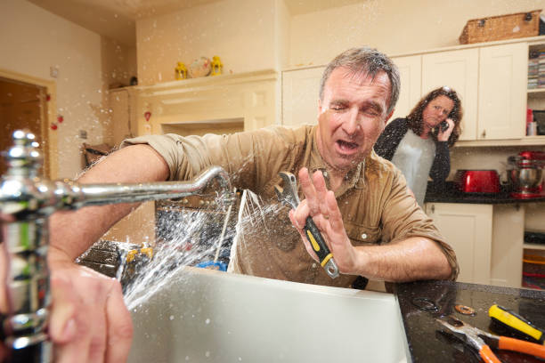 Best Basement water damage restoration  in Springfield, MI